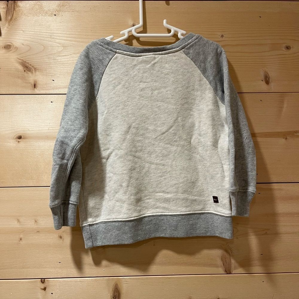 Tea Collection Raglan Gray Tea Collection Sweatshirt - Picture 3 of 4